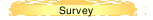 Survey